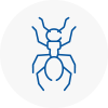Ant Removals In Standish