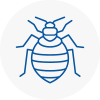 Bed Bug Extermination In Standish