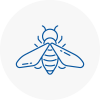 Bee Nest Removal Standish