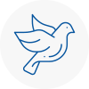 Bird Prevention Standish