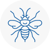 Standish Hornet Nest Removals