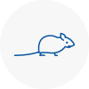 Mice Exterminators In Standish