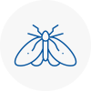 Moth Control Specialists In Standish