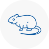 Rat Control Standish