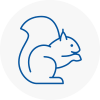 Standish Rodent Removals